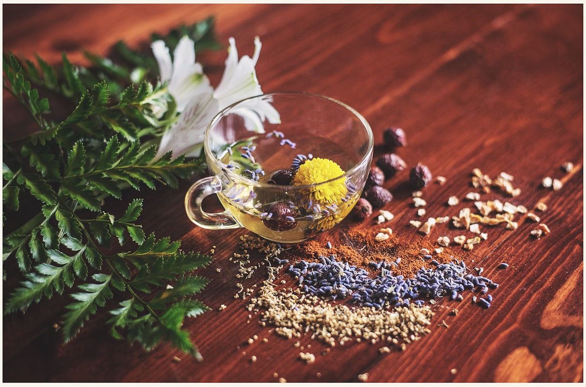 Historia de Probioticrootcare